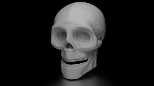 Human Skull preview image